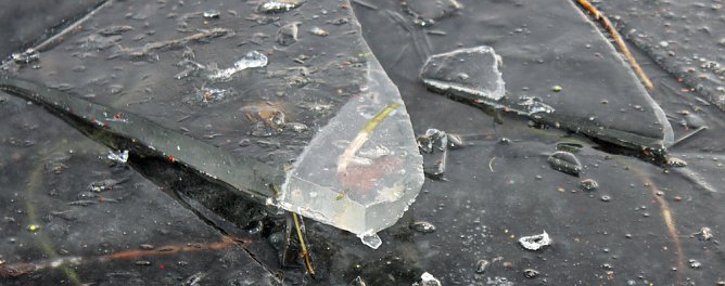 Massenansturm zum Weihnachtstauchen (Foto: Karl-Heinz Herrmann)