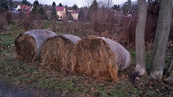 Wehe so handelt ein Privatmann (Foto: Karl-Heinz Herrmann)