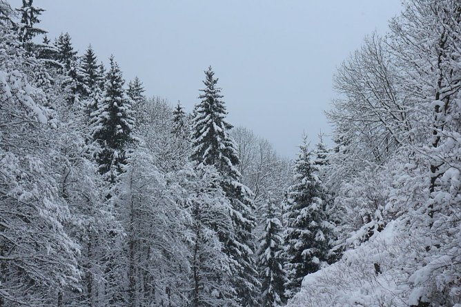 Wetterbild (Foto: Angelo Glashagel) Wetterbild (Foto: Angelo Glashagel)