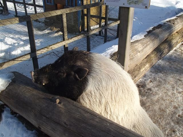 Winterspa&szlig; auf dem Possen (Foto: Thomas Leipold)