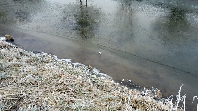 Friert die Wipper zu? (Foto: Karl-Heinz Herrmann)