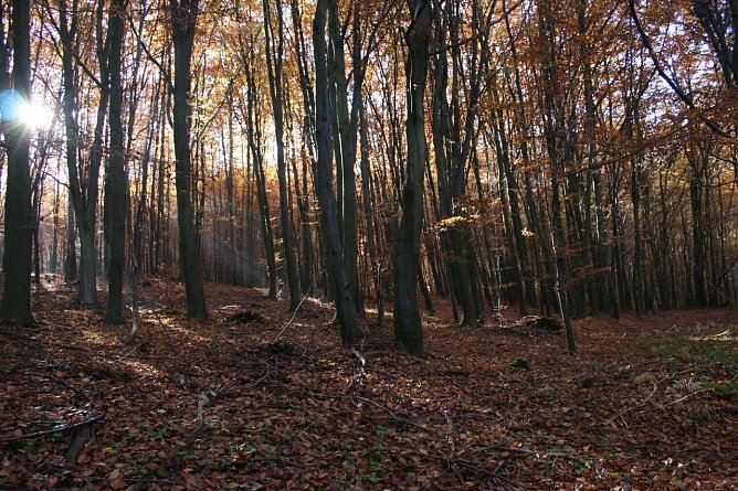 Wetterbild (Foto: Gernot Thelemann)