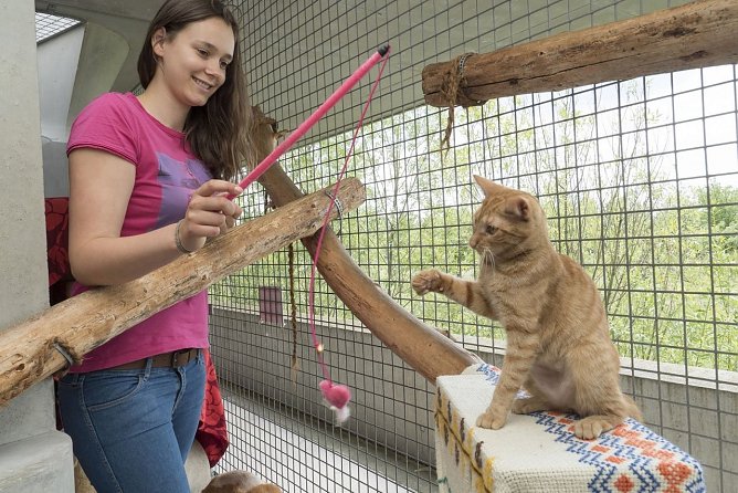 Auszeichnung f&uuml;r junge Tiersch&uuml;tzer (Foto: Deutscher Tierschutzbund e.V.)