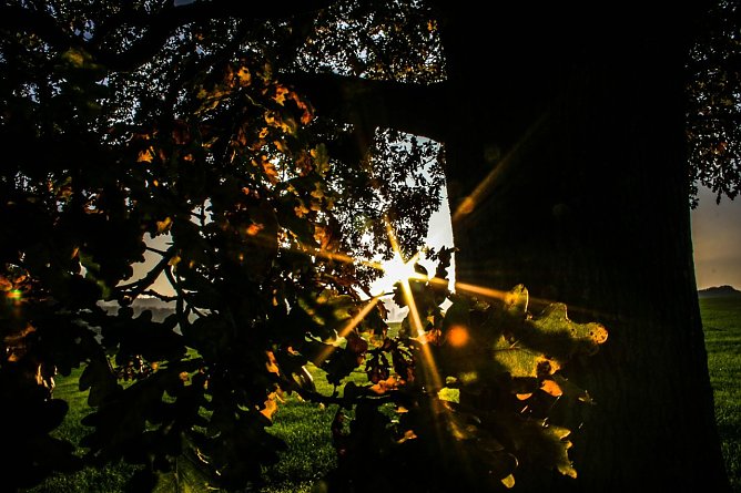 Wetter-Bild (Foto: Gernot Thelemann)