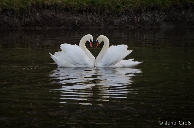 Foto Crashkurs in der Volkshochschule (Foto: Jana Groß) Foto Crashkurs in der Volkshochschule (Foto: Jana Groß)