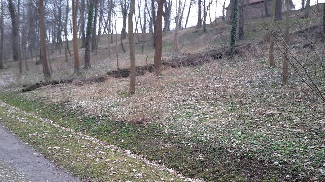 Walk of music? (Foto: P.K.)