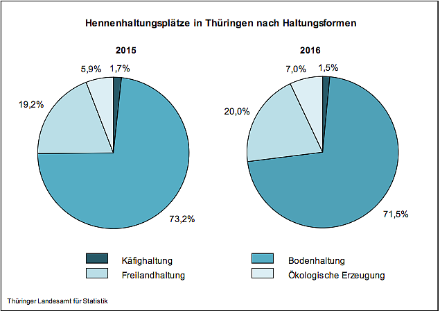 Hennenhaltungsplätze in Thüringen (Foto: Thüringer Landesamt für Statistik) Hennenhaltungsplätze in Thüringen (Foto: Thüringer Landesamt für Statistik)