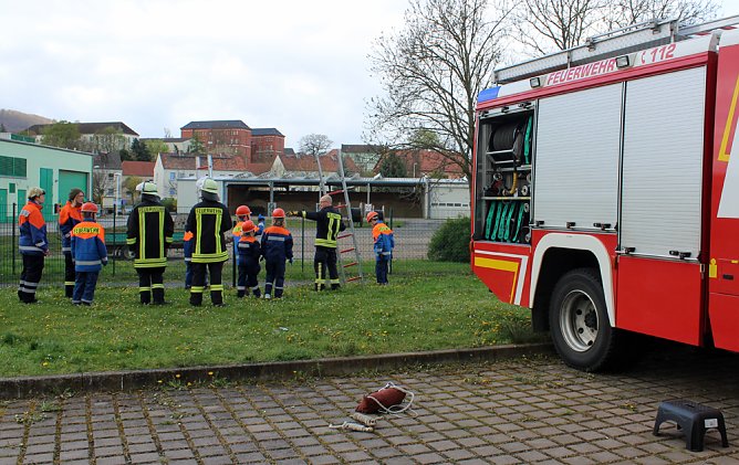 &Uuml;ber den Zaun gestiegen (Foto: &Uuml;ber den Zaun gestiegen)