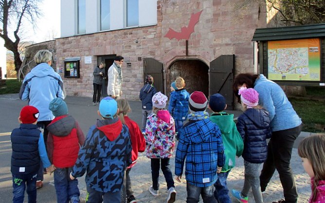 Eintauchen in die Welt der Fledermäuse (Foto: Stadt Bad Frankenhausen) Eintauchen in die Welt der Fledermäuse (Foto: Stadt Bad Frankenhausen)