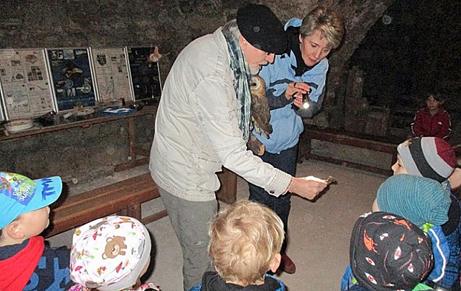 Eintauchen in die Welt der Fledermäuse (Foto: Stadt Bad Frankenhausen) Eintauchen in die Welt der Fledermäuse (Foto: Stadt Bad Frankenhausen)