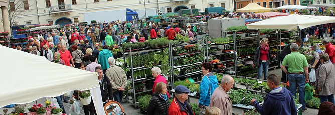 Gr&uuml;ne und bunte Oase Sondershausen (Foto: Karl-Heinz Herrmann)