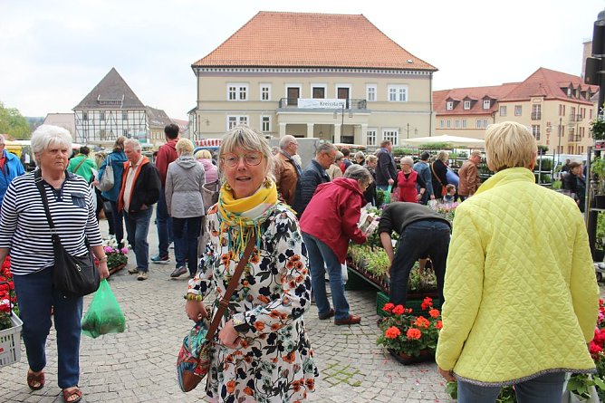 Gr&uuml;ne und bunte Oase Sondershausen (Foto: Karl-Heinz Herrmann)
