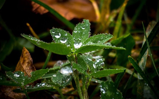 Wetter-Bild (Foto: Gernot Thelemann)