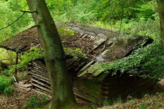 Wetter-Bild (Foto: Gernot Thelemann)