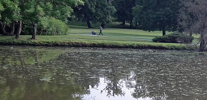 War es der Fuchs? (Foto: Karl-Heinz Herrmann) War es der Fuchs? (Foto: Karl-Heinz Herrmann)
