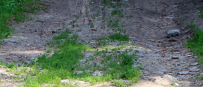 Weg in die Steinzeit des Tourismus? (Foto: Karl-Heinz Herrmann)