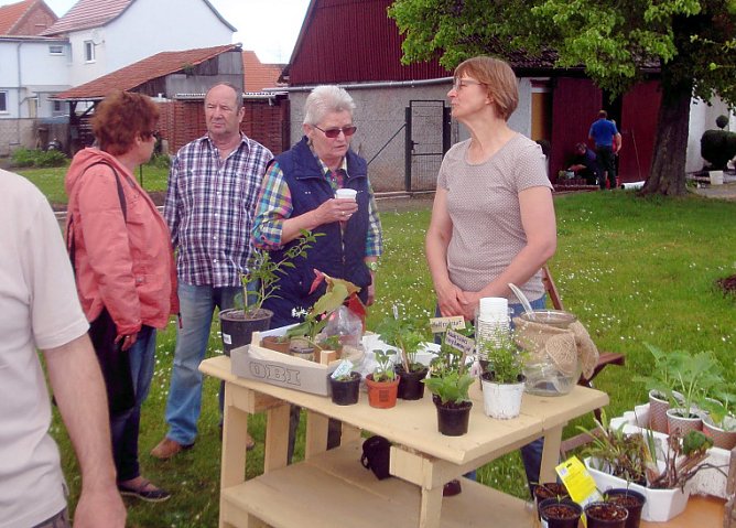 Dieses war der 3. Streich�. (Foto: Peter Zimmer)