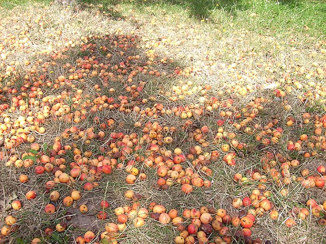 Spielplatz &Ouml;stertal (Foto: Karl-Heinz Herrmann)