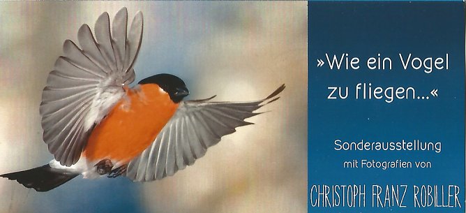 Neue Sonderausstellung im Festsaal (Foto: Regionalmuseum Bad Frankenhausen)