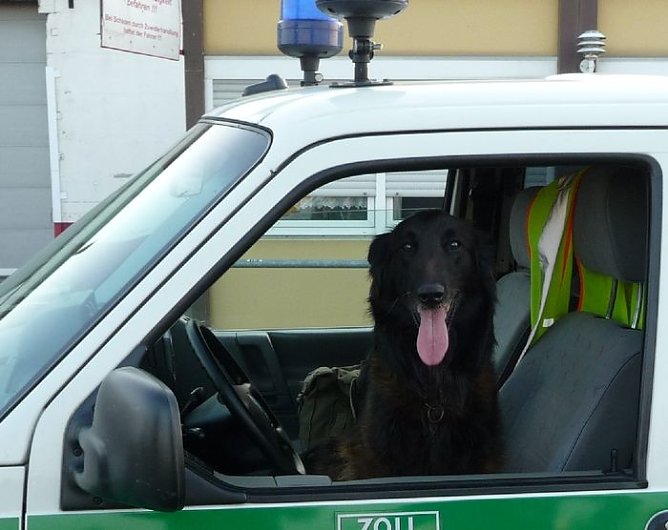 Im Einsatz (Foto: Zoll)