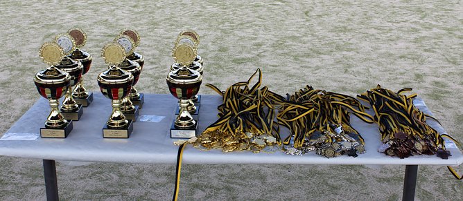 Ergebnisse der 7. Mini-WM der Leichtathletik (Foto: Karl-Heinz Herrmann)