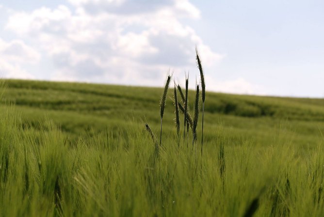 Wetterbild (Foto: Gernot Thelemann)