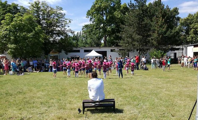 Vom Tag der Vereine Artern (Foto: J&ouml;rg Schlottmann)