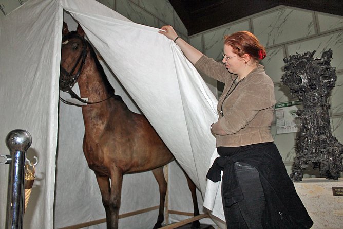 Ein Glashaus für das Pferdchen (Foto: Karl-Heinz Herrmann) Ein Glashaus für das Pferdchen (Foto: Karl-Heinz Herrmann)