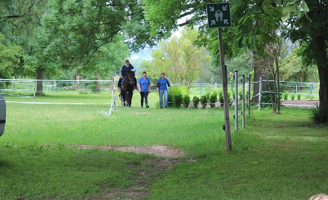 Beim Kirschmarkt in Braunsroda (Foto: Karl-Heinz Herrmann) Beim Kirschmarkt in Braunsroda (Foto: Karl-Heinz Herrmann)