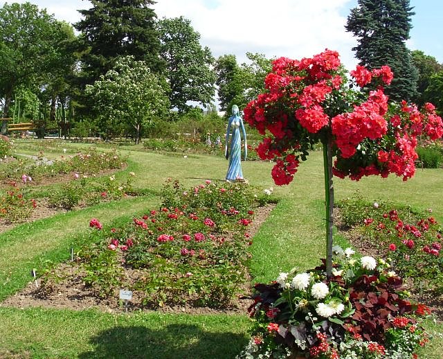 WB 4 besuchte Europa-Rosarium Sangerhausen (Foto: Thomas Leipold) WB 4 besuchte Europa-Rosarium Sangerhausen (Foto: Thomas Leipold)