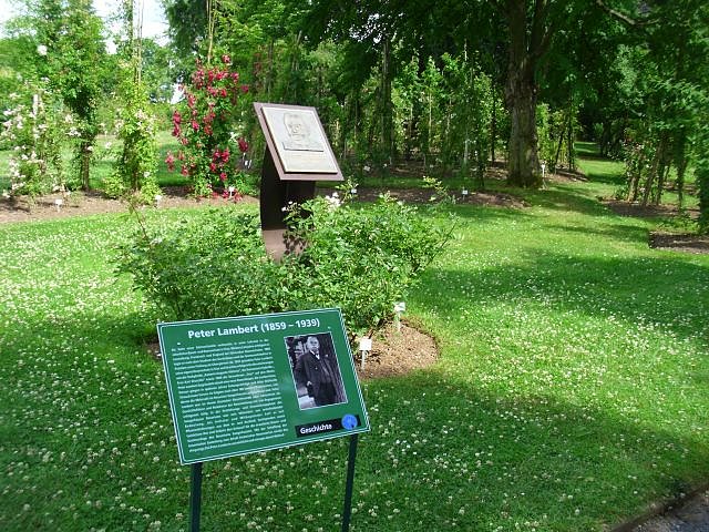 WB 4 besuchte Europa-Rosarium Sangerhausen (Foto: Thomas Leipold) WB 4 besuchte Europa-Rosarium Sangerhausen (Foto: Thomas Leipold)