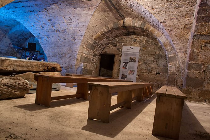 Heimliche Nachbarn (Foto: Sebastian Schuster)