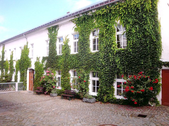 Besuch bei der Eule (Foto: Peter Zimmer)