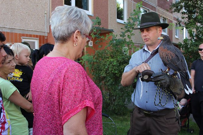 Falkner sorgte f&uuml;r Auflauf (Foto: Karl-Heinz Herrmann)