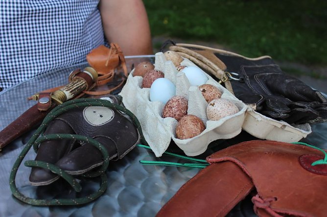 Falkner sorgte f&uuml;r Auflauf (Foto: Karl-Heinz Herrmann)