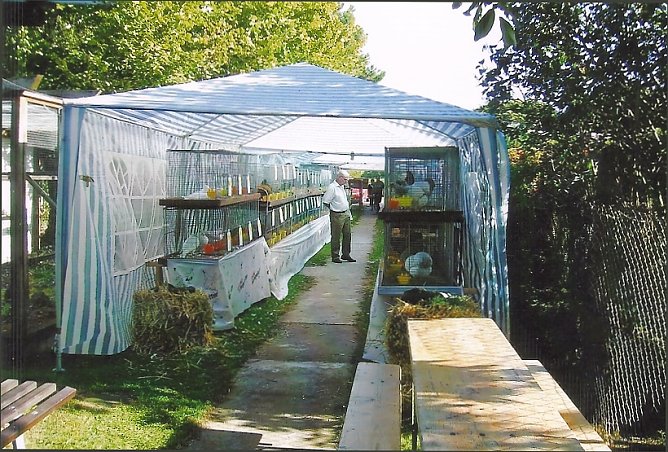 Rassegefl&uuml;gelausstellung geplant (Foto: Stadtmarketing Bad Frankenhausen)
