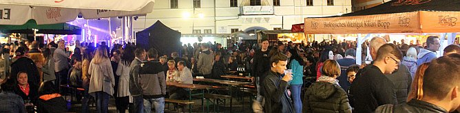 Weinprinzessin Shantel I. gekr&ouml;nt (Foto: Karl-Heinz Herrmann)