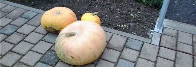 Wir bitten um Unterst&uuml;tzung! (Foto: Karl-Heinz Herrmann)