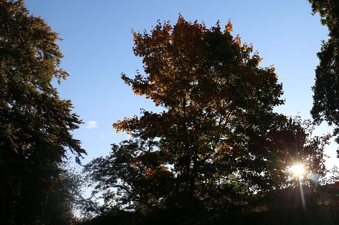 Wetterbild (Foto: Angelo Glashagel)