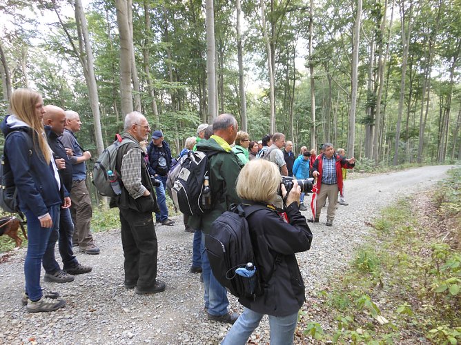 R&uuml;ckblick auf den Tag des Geotops 2017 (Foto: Regionalmuseum Bad Frankenhausen)