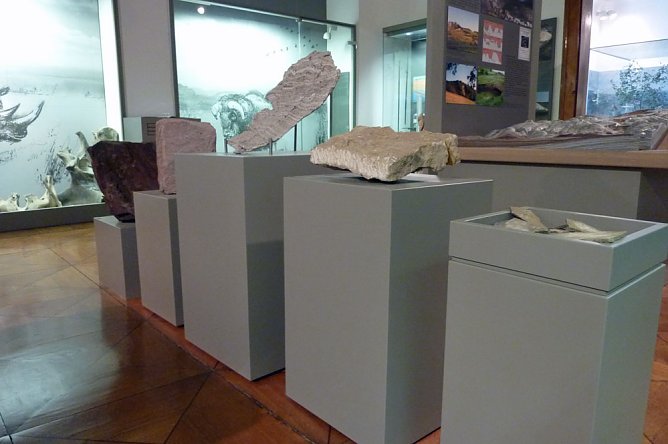 R&uuml;ckblick auf den Tag des Geotops 2017 (Foto: Regionalmuseum Bad Frankenhausen)