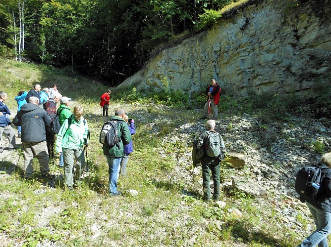 R&uuml;ckblick auf den Tag des Geotops 2017 (Foto: Regionalmuseum Bad Frankenhausen)
