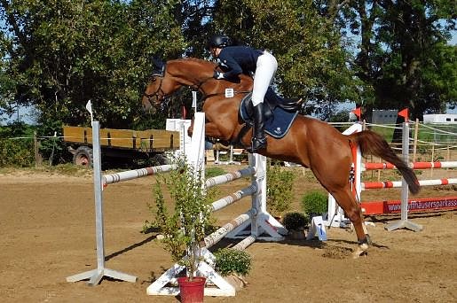 Gelungene Premiere beim Reitturnier in Heygendorf (Foto: Privat)