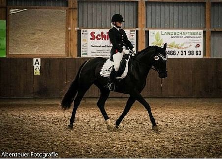Gelungene Premiere beim Reitturnier in Heygendorf (Foto: Privat)