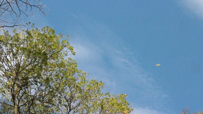 Sonnenschein mit kleinen Nebelfeldern  (Foto: nnz )