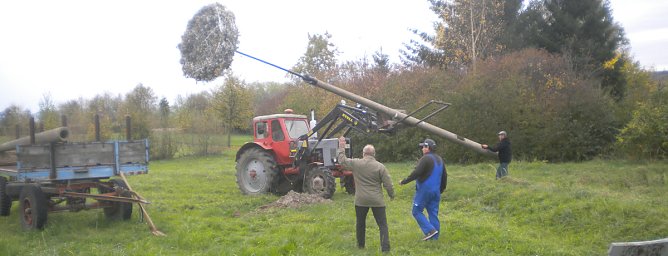 Neue Storchennester in Seehausen (Foto: Susann B&ouml;hme)