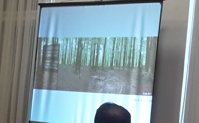 Artenschutzreport, Buchenw&auml;lder und mehr (Foto: Karl-Heinz Herrmann)