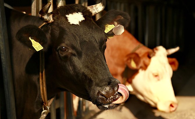 Arbeit wird mehr anerkannt (Foto: IG Bau)