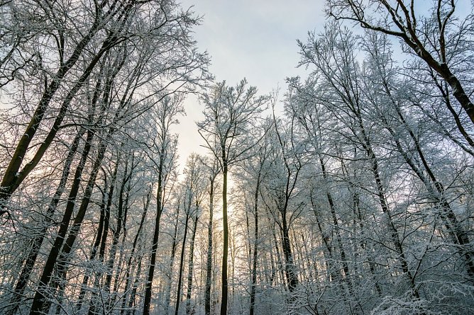 Wetterbild (Foto: Gernot Thelemann)