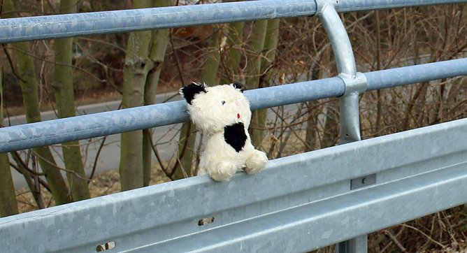 Ich bin so allein! (Foto: Karl-Heinz Herrmann) Ich bin so allein! (Foto: Karl-Heinz Herrmann)